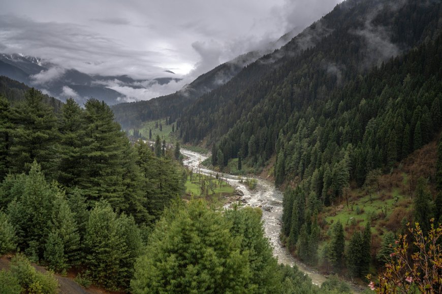 Kashmir: A Fairytale Honeymoon Destination for Every Season