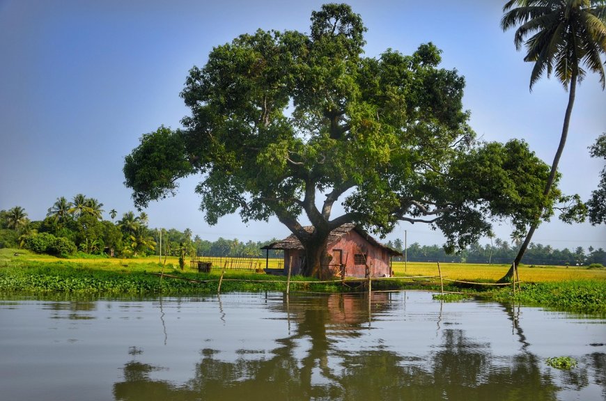 Kerala Tour Package for Solo Travelers: Safety, Tips & Best Routes