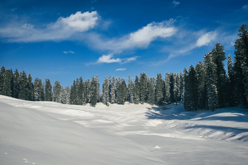 How to Plan a 7-Day Kashmir Tour Package for First-Time Travelers